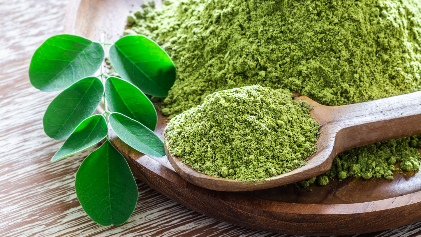 MORINGA | L'Arbre de Vie