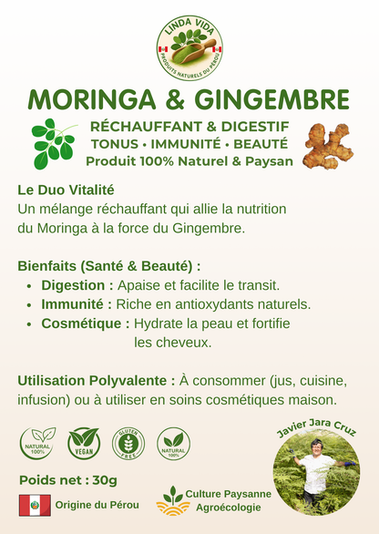 MORINGA &amp; GINGER | Digestion &amp; Energy