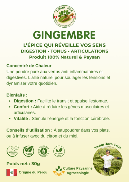 PURE GINGER | Digestion &amp; Vitality