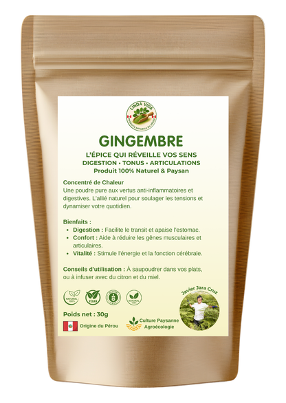 PURE GINGER | Digestion &amp; Vitality