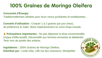 GRAINES DE MORINGA - Énergie, Detox et Vitalité